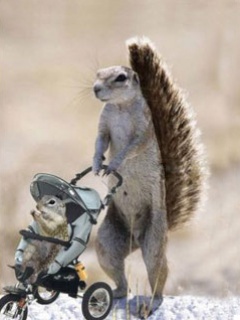 Other Wallpapers 0735